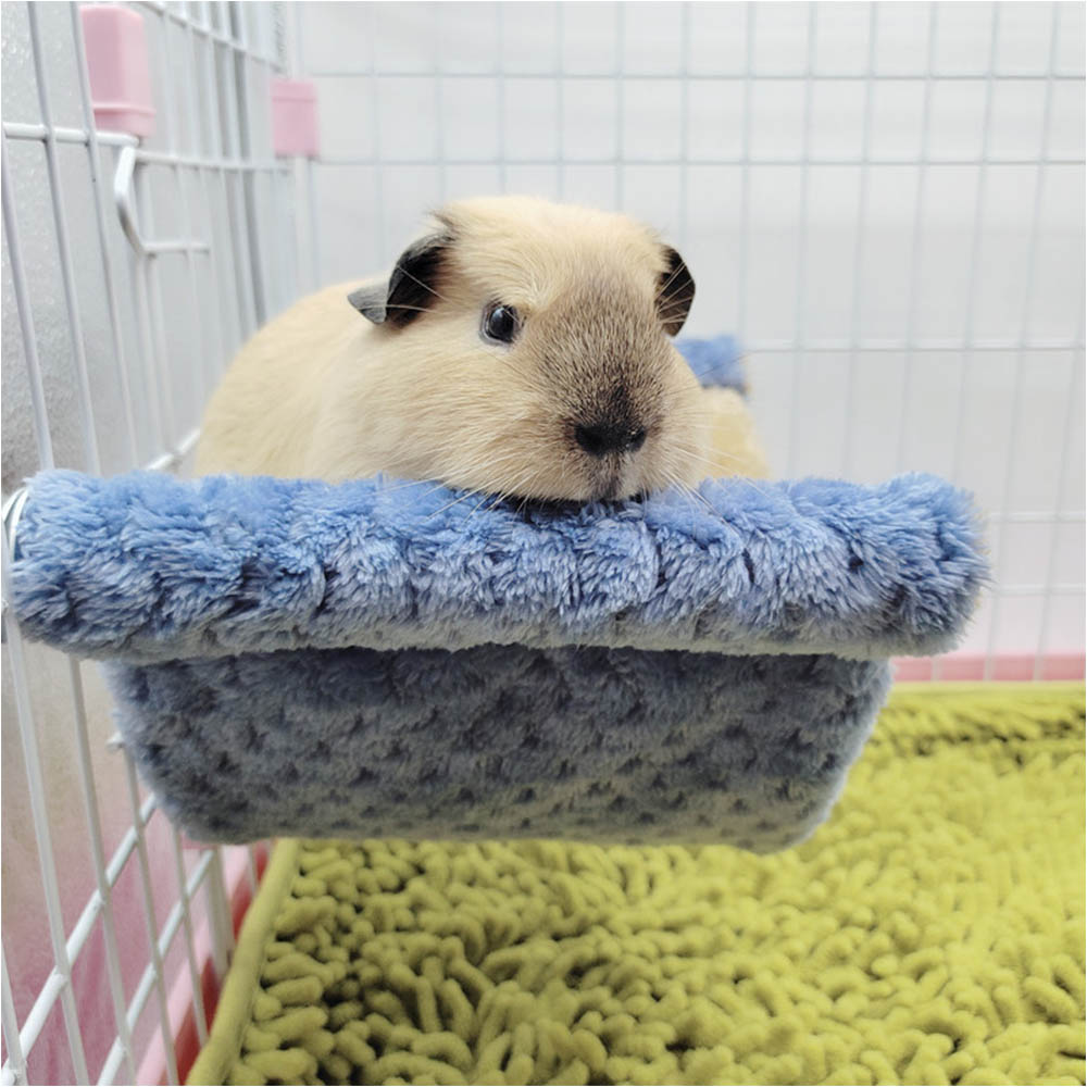 Double Layer Winter Warm Rat H - Fleece Sleep Bag のレビューと価格